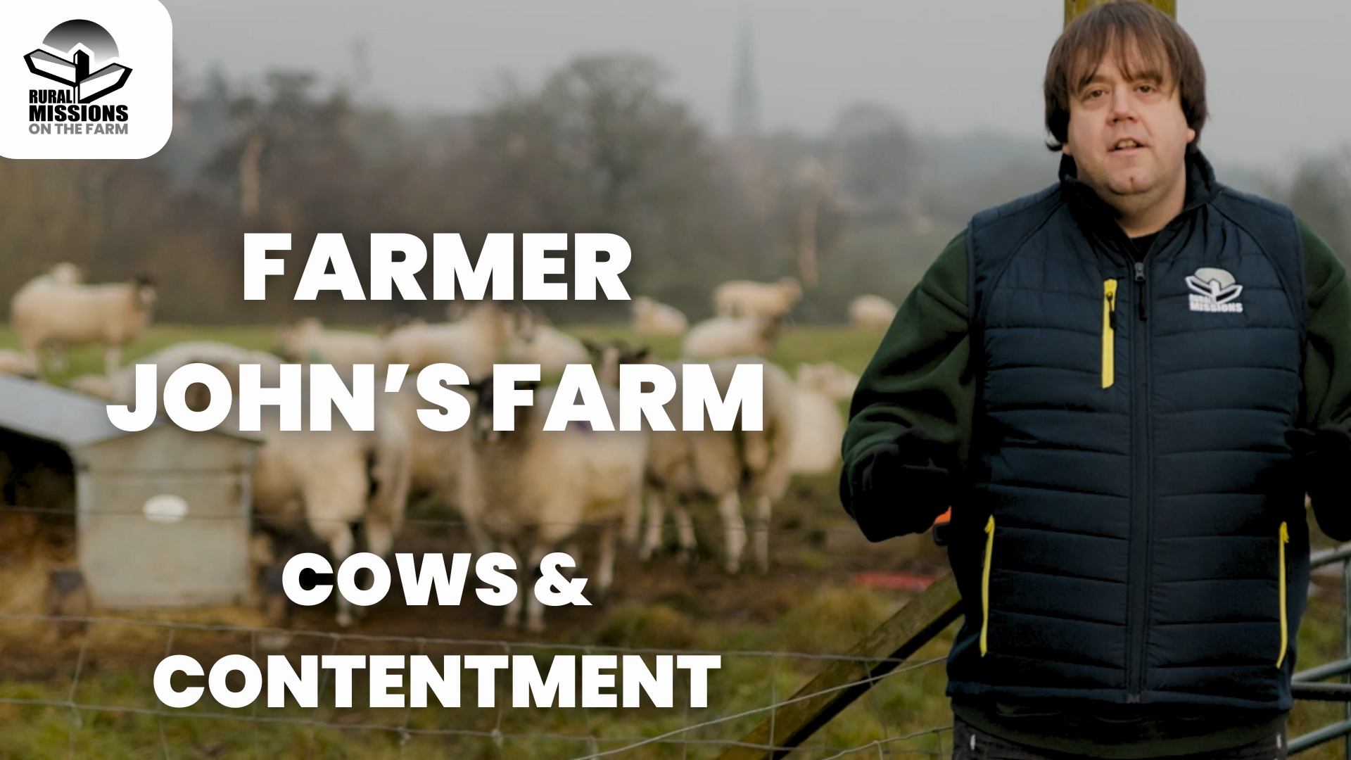 Cows & Contentment - Farmer John's Farm