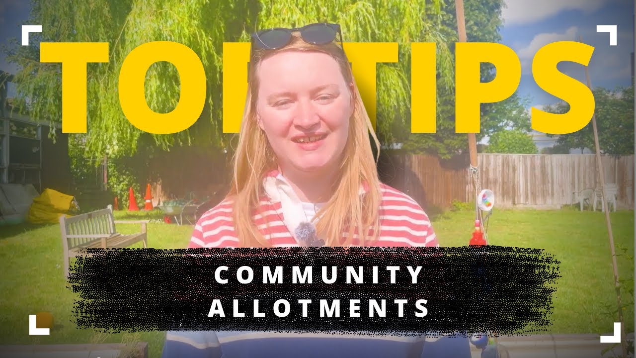 Eco Church - Why have a church allotment?